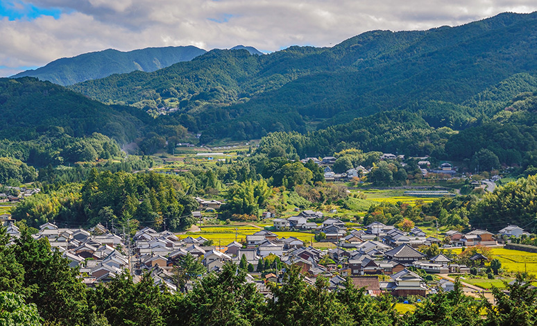 奈良風景